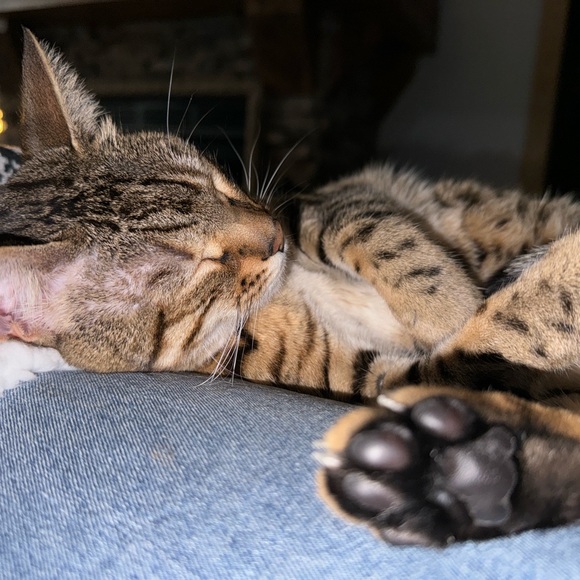 Pink top M - Picture 10 of 10